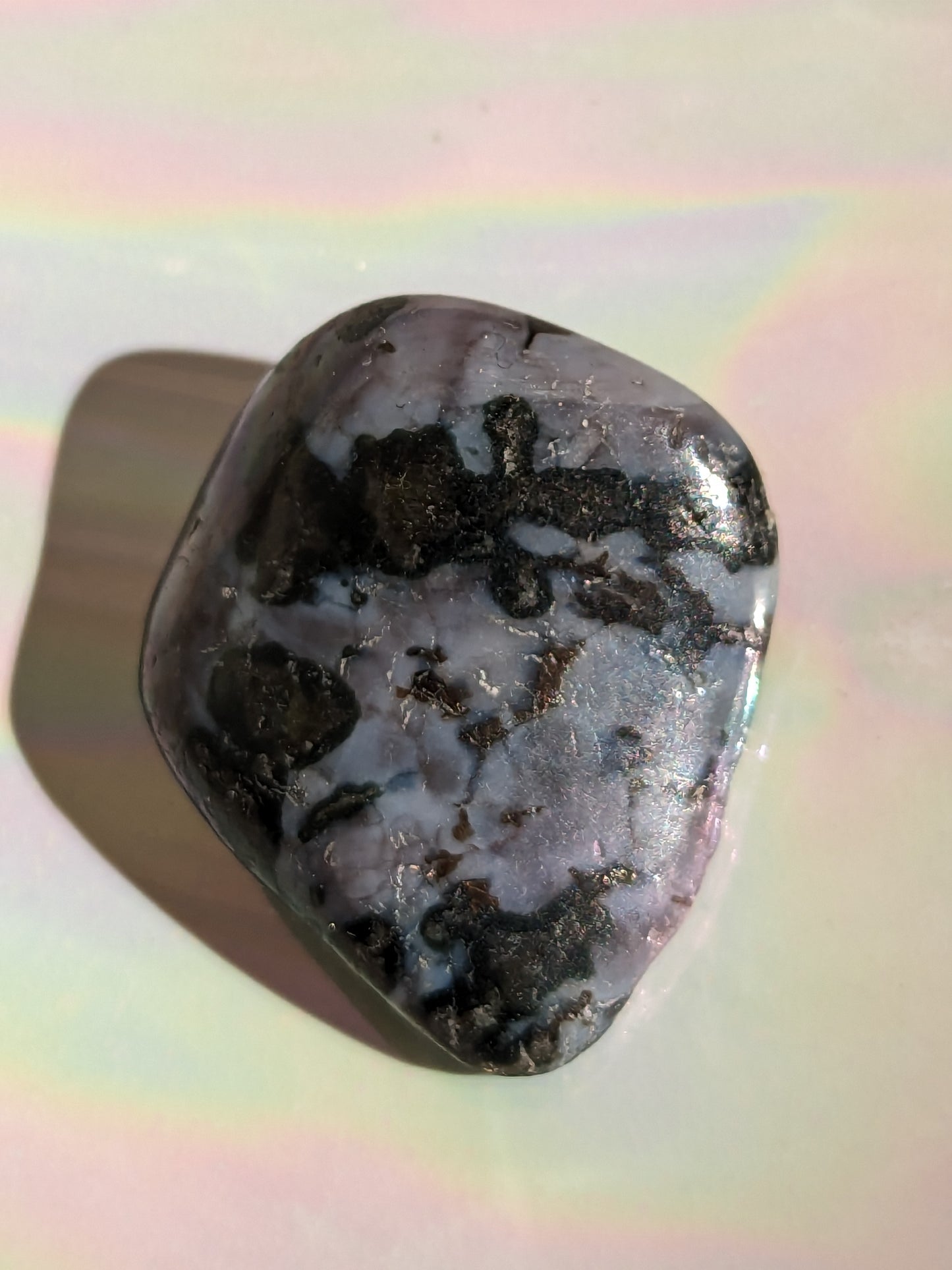 Indigo Gabbro