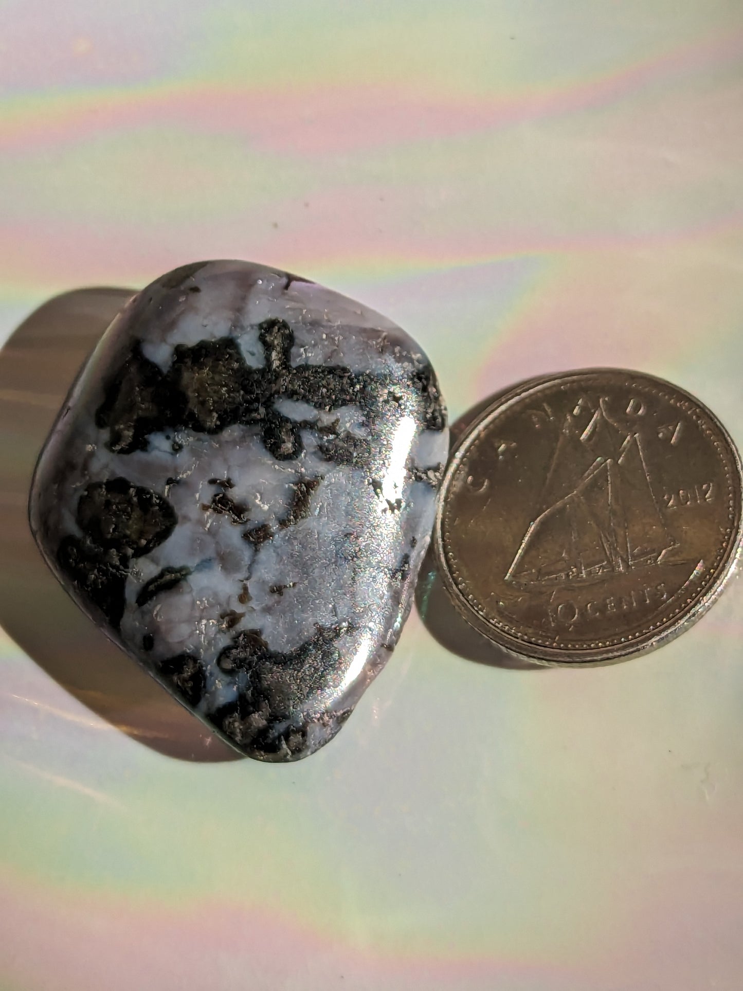 Indigo Gabbro