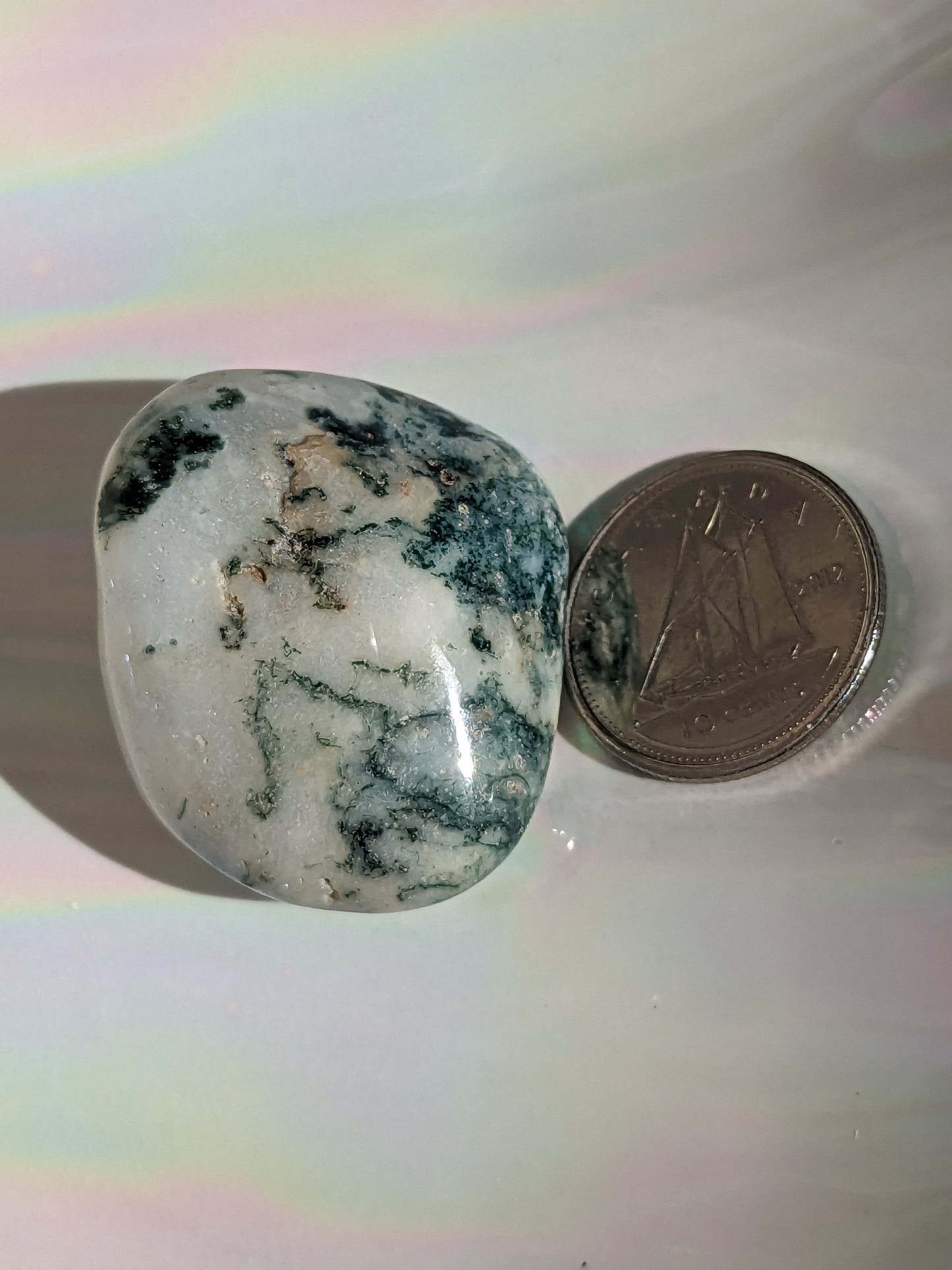 Tree Agate